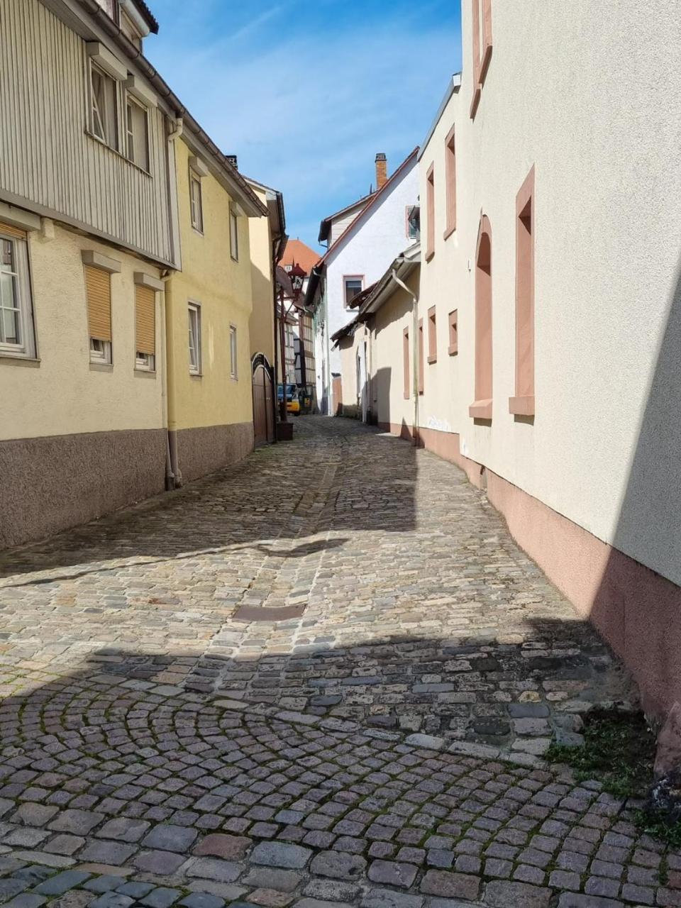 Ferienwohnung Heppenheim An Der Bergstrasse Whg 1 Dış mekan fotoğraf